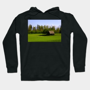 The cottage in the Alps Hoodie